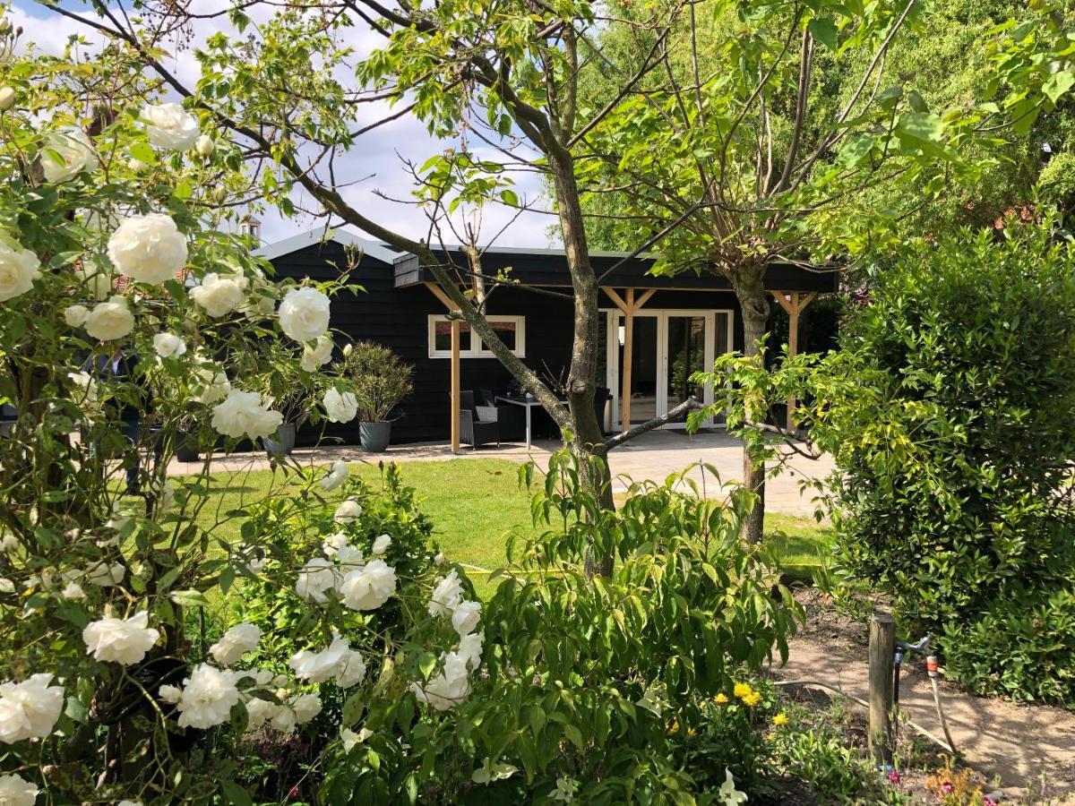 'T Achterom Villa เบรานิซเซอ ภายนอก รูปภาพ